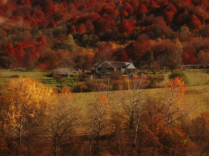 Photo paysage d'automne