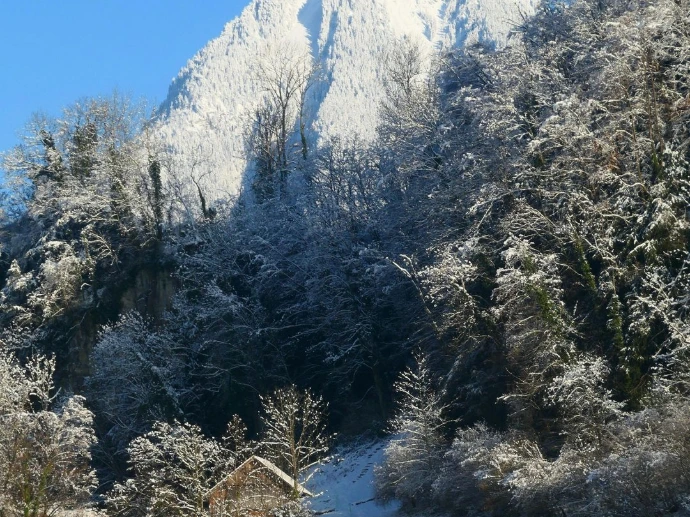 Photo paysage d'hiver