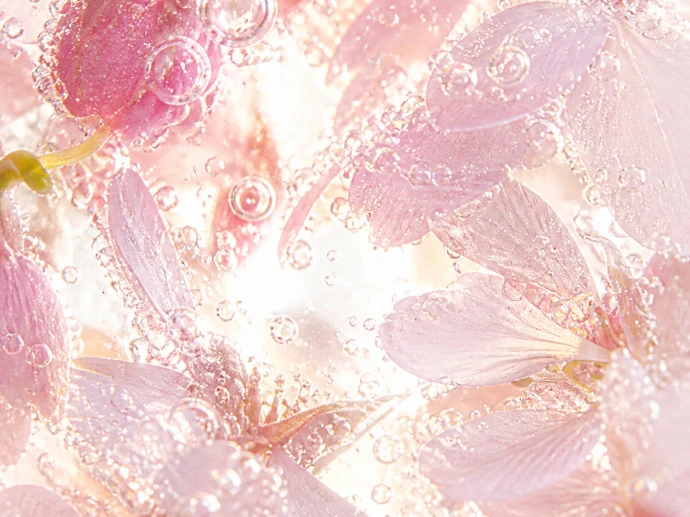 Photo parfum fleurie