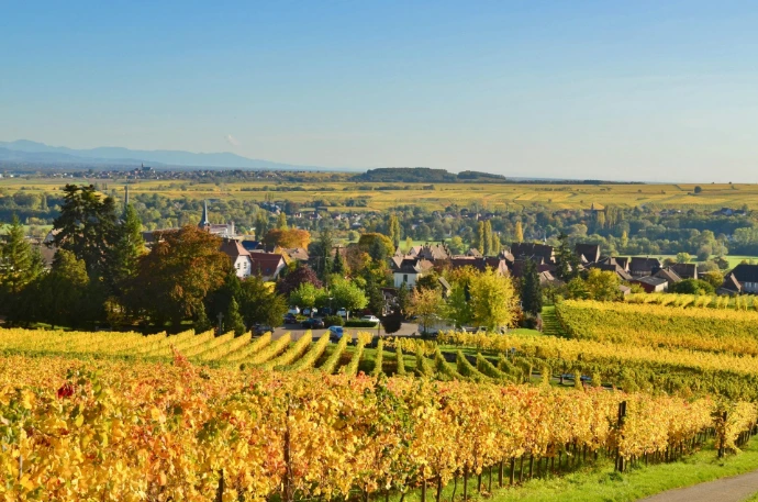 Photo d'un paysage alsacien