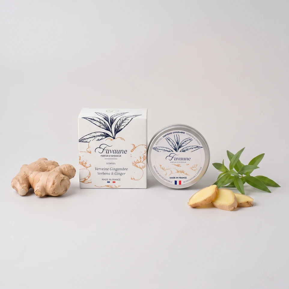 VERVEINE GINGEMBRE BOITE + POT.webp