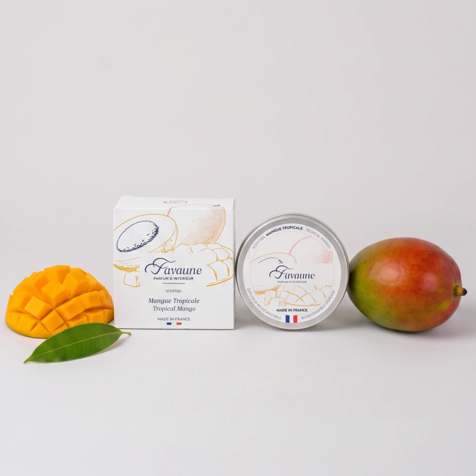 MANGUE TROPICAL BOITE + POT.webp