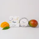 MANGUE TROPICAL BOITE + POT.webp