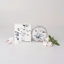 JASMIN BOITE + POT.webp