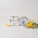 FRAICHEUR PRINTANIÈRE BOITE + POT.webp