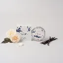ROSE BOURBON BOITE + POT.webp