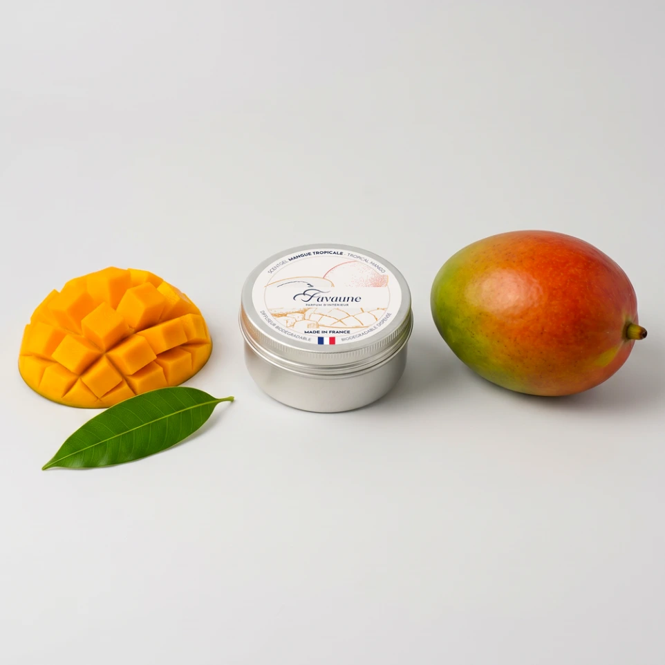 [GELMATXL] GEL MANGUE TROPICALE
