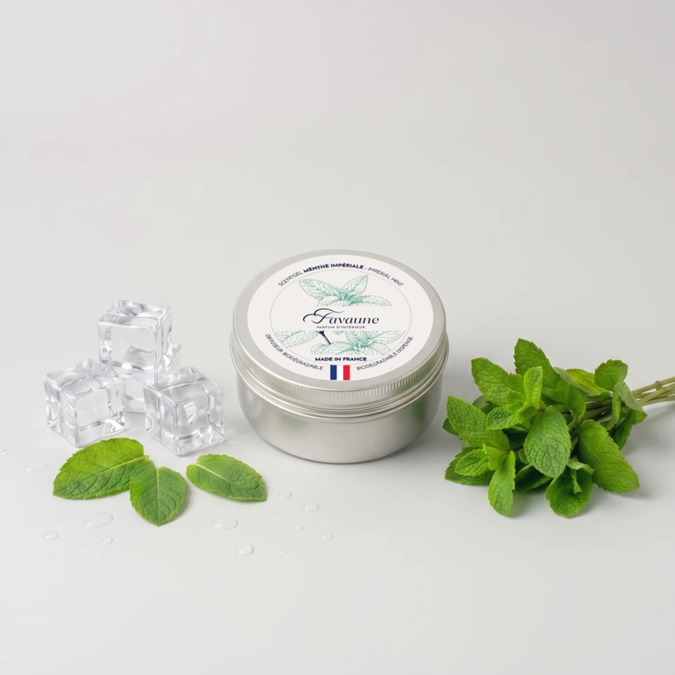 [GELMEIXL] GEL KAISERMINZE